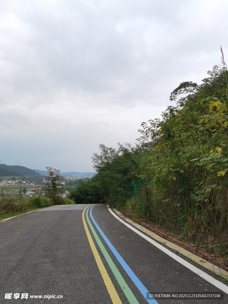 彩色公路蜿蜒于绿意间