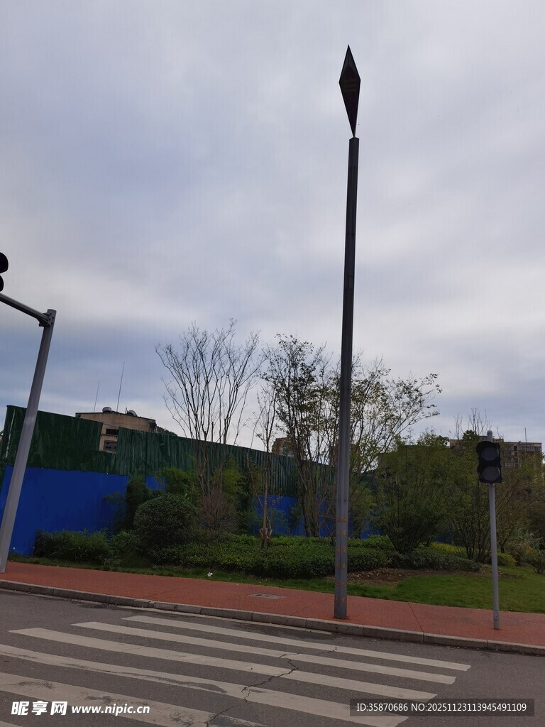 街道旁的路灯与绿植景观