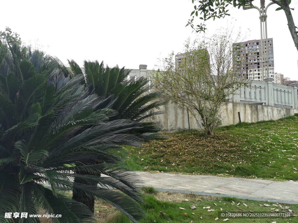 户外绿植与建筑物景观