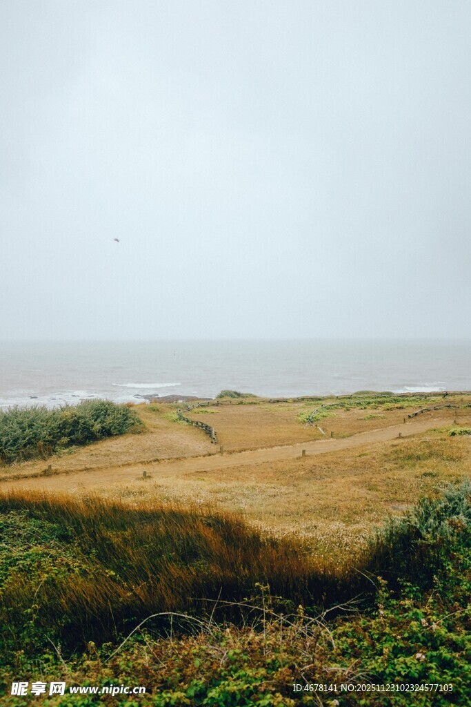 田野风光远观朦胧景致