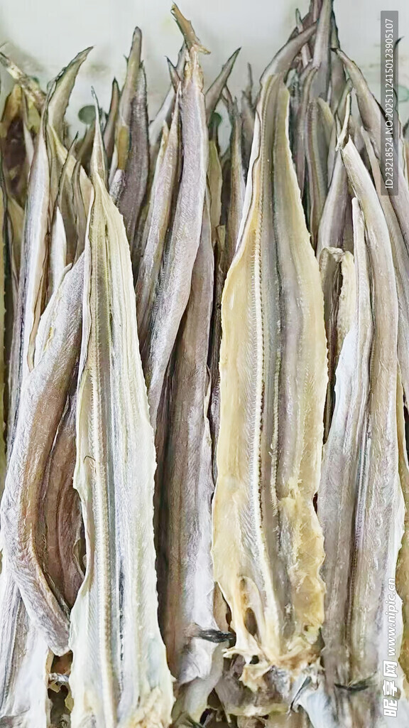 鳗鱼干