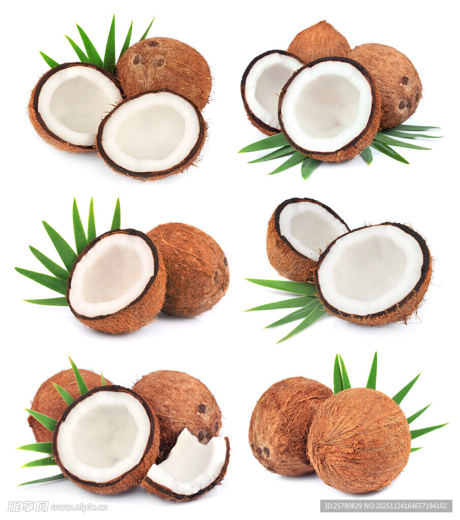 多样椰子展示