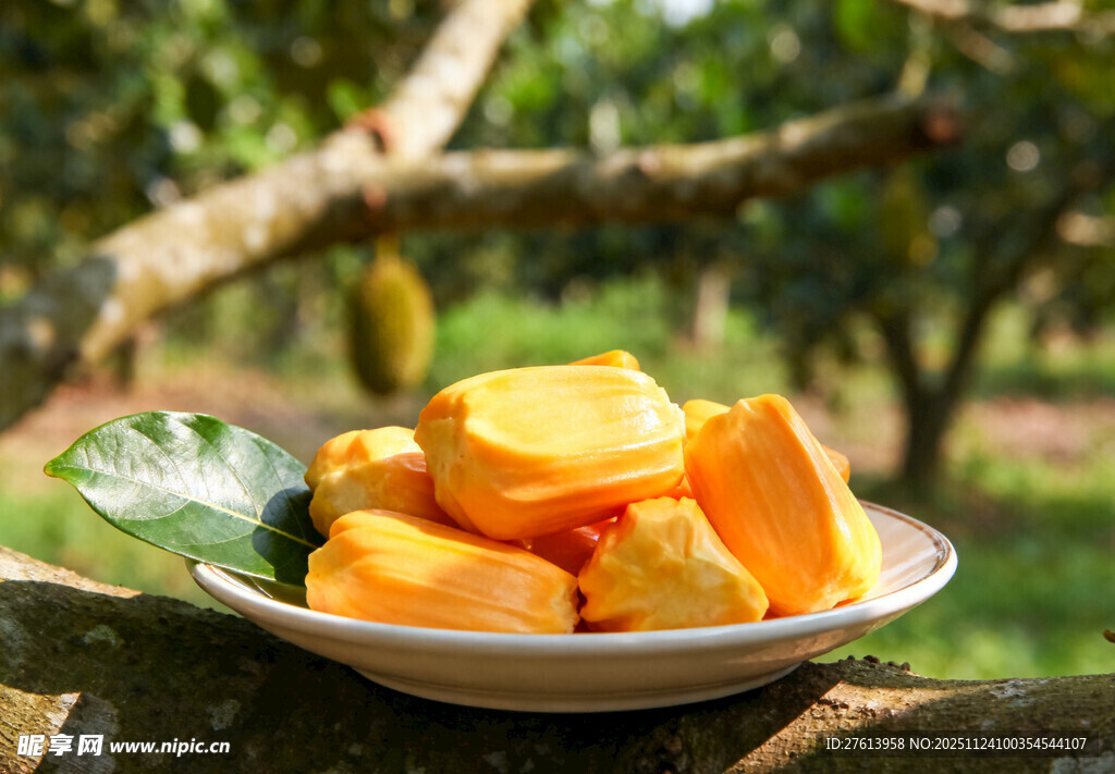 盘子里的菠萝蜜
