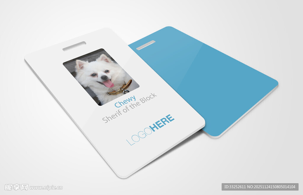 白色相框与蓝色卡片展示