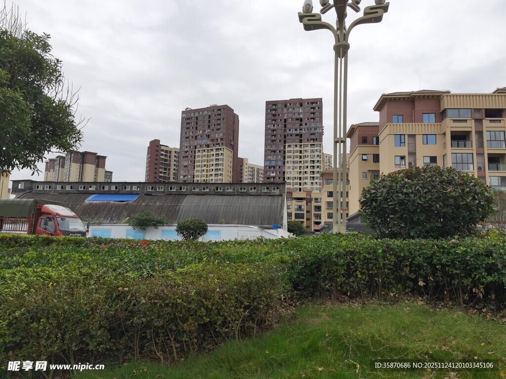 城市绿植旁的建筑群景观