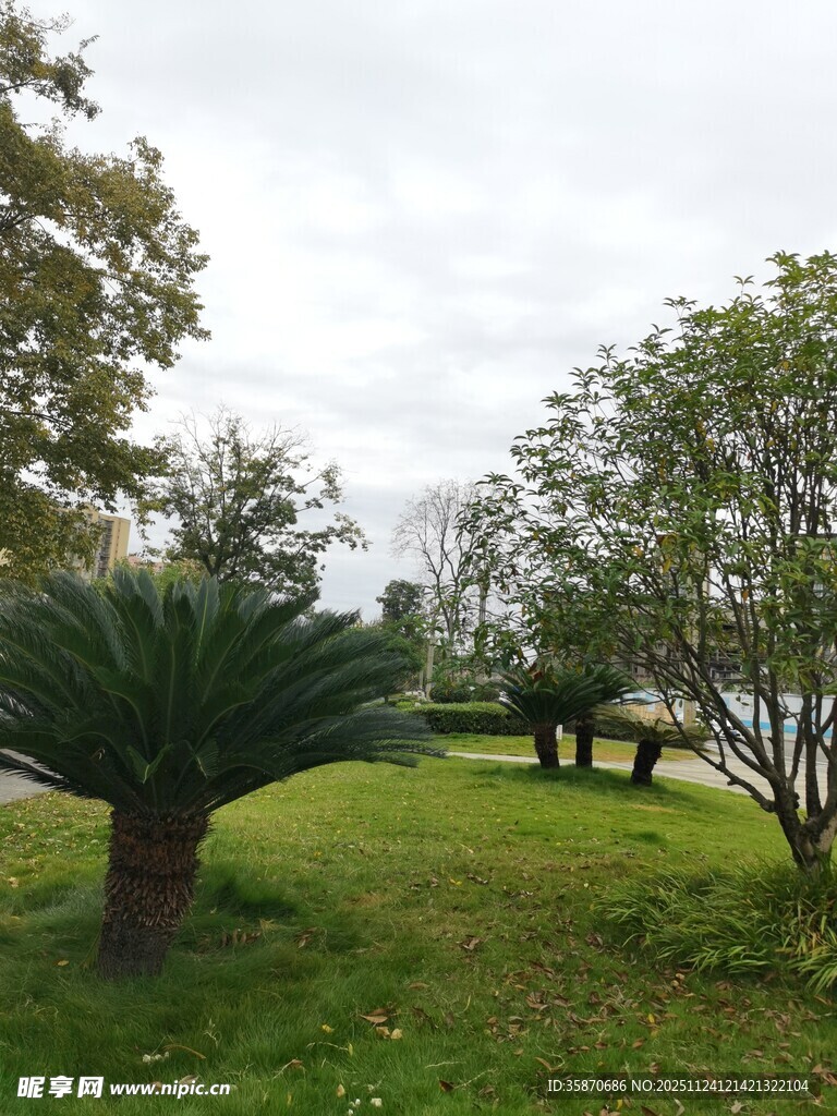 绿意盎然的户外园林景观