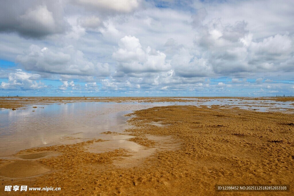 海边滩涂