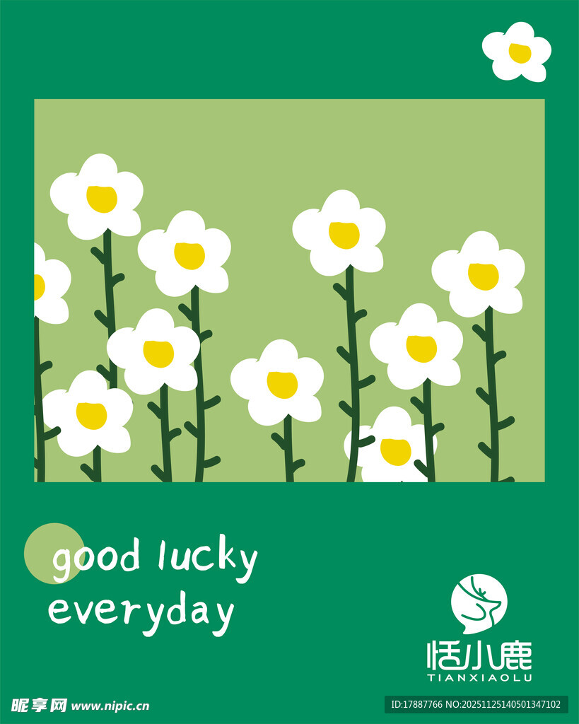 每日幸运小雏菊插画