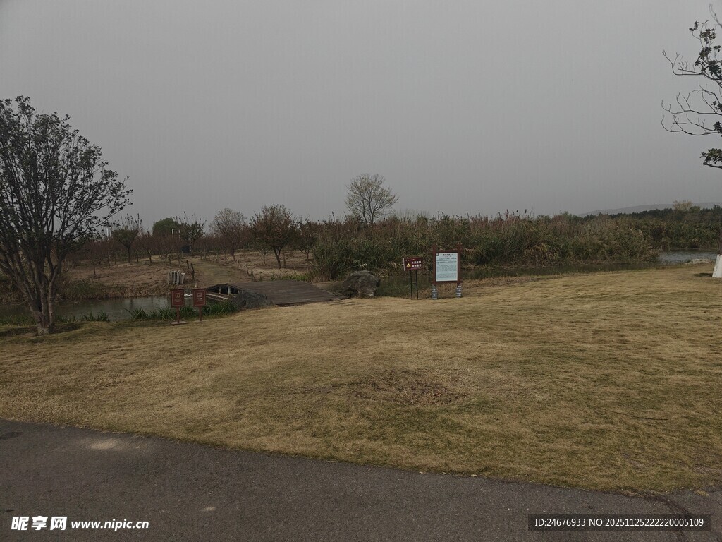 郊外空旷草地风景