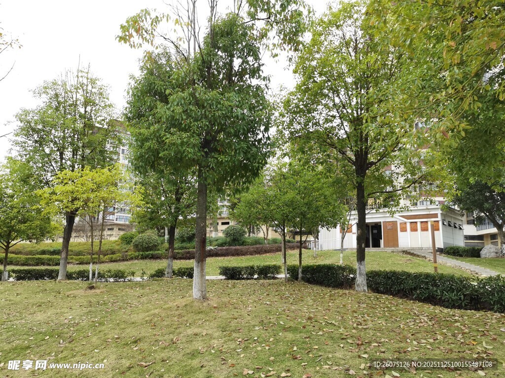 公园绿意盎然的休闲场景