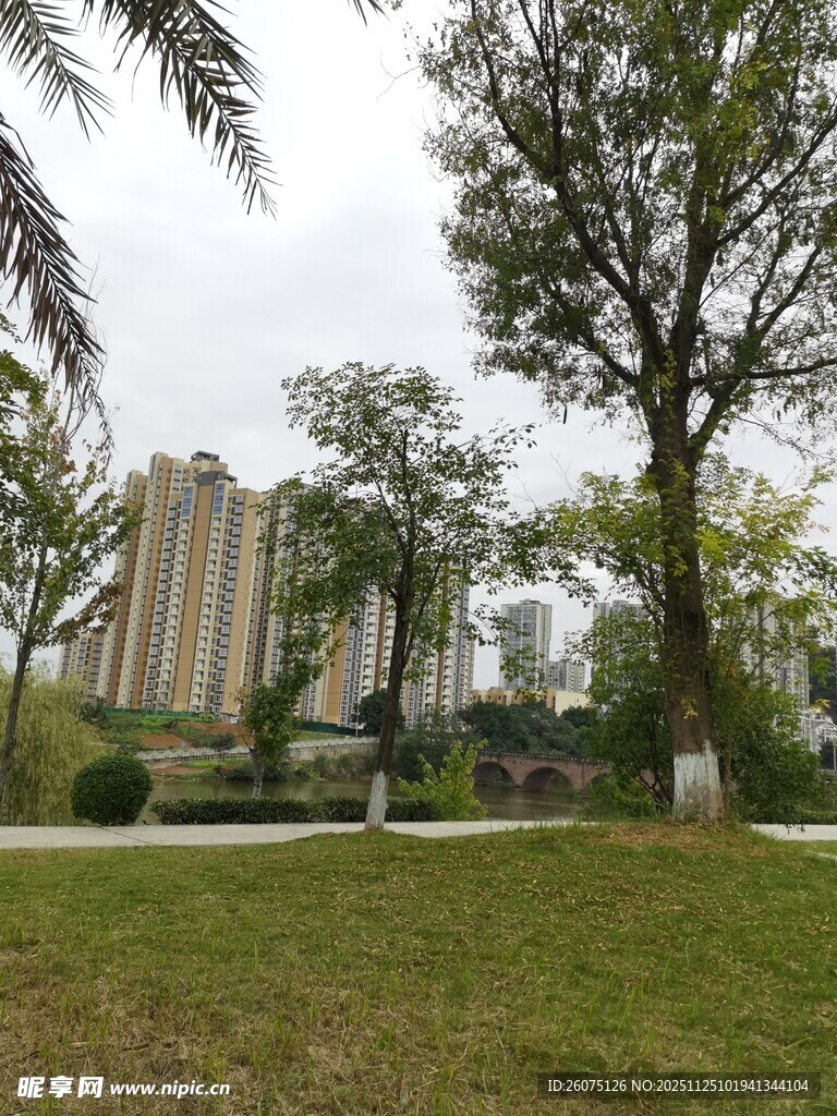 城市中的绿意公园景观