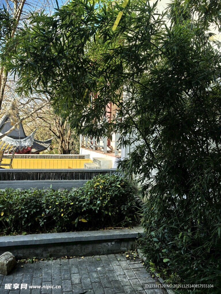 路边繁茂绿植景观