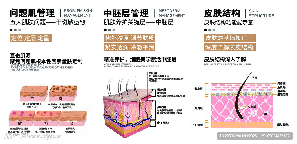 皮肤结构解剖示意图