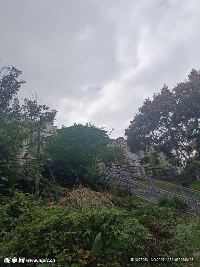 山间繁茂植被与蜿蜒小路