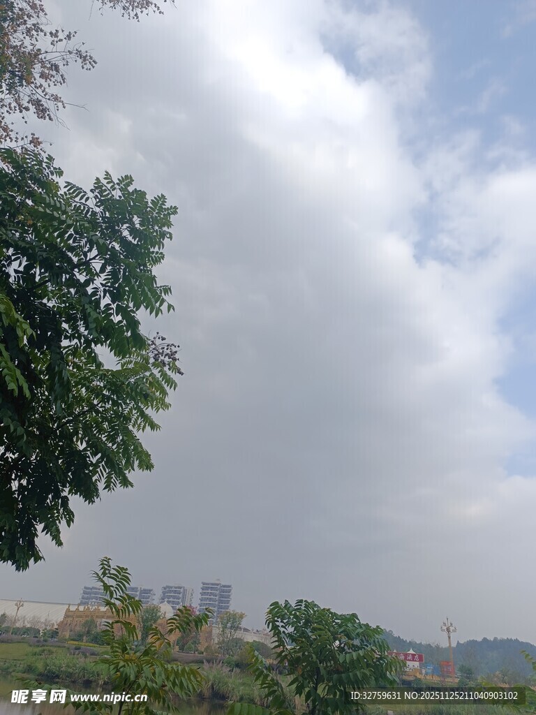 户外绿树与多云天空景象