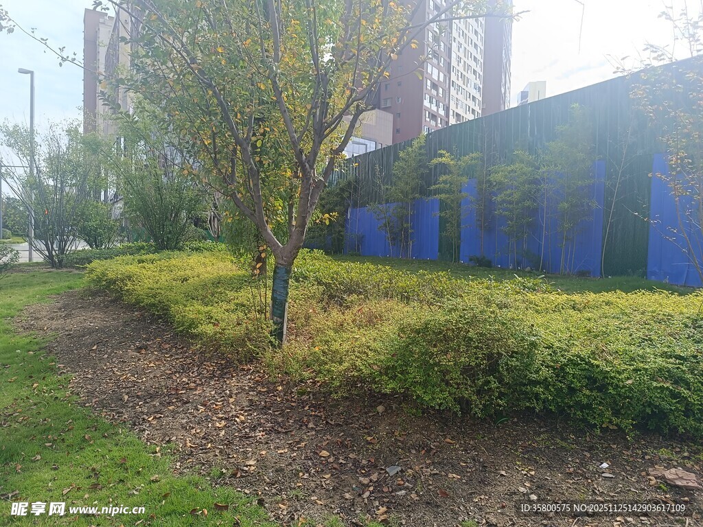城市绿植景观一角