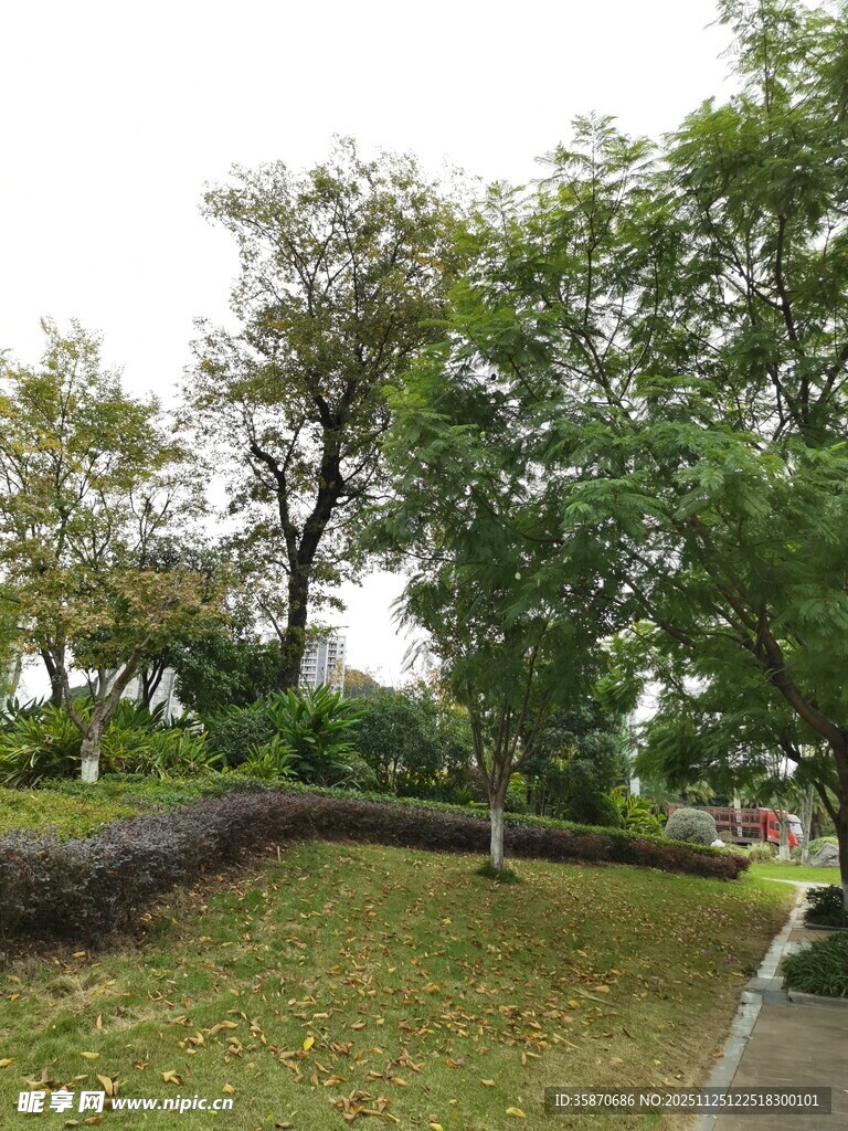 公园绿意盎然的休闲场景