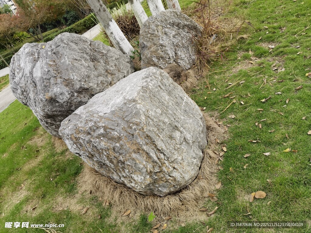 草地上的灰色大石头