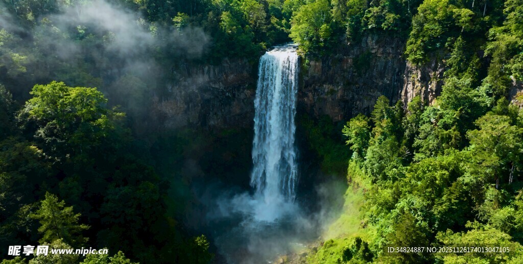 雨林中的壮观瀑布景观