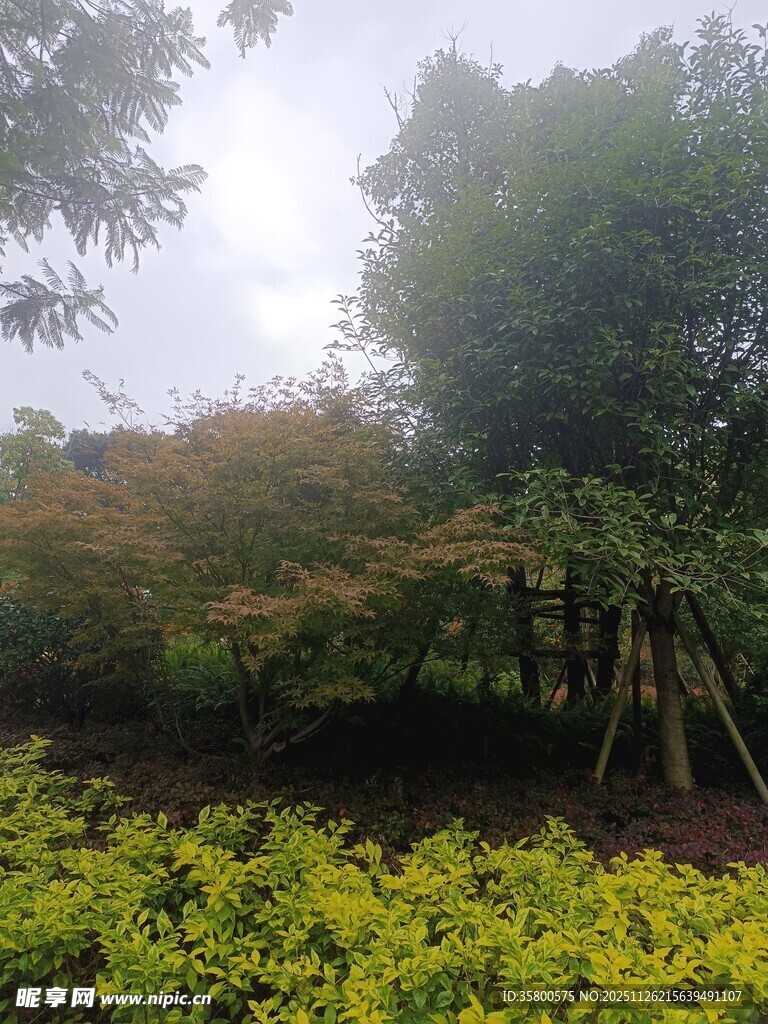 绿意盎然的户外园林景致