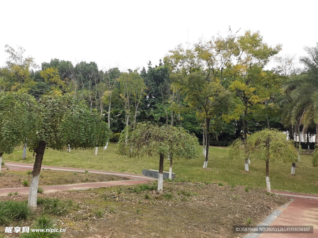 公园绿意盎然的休闲场景