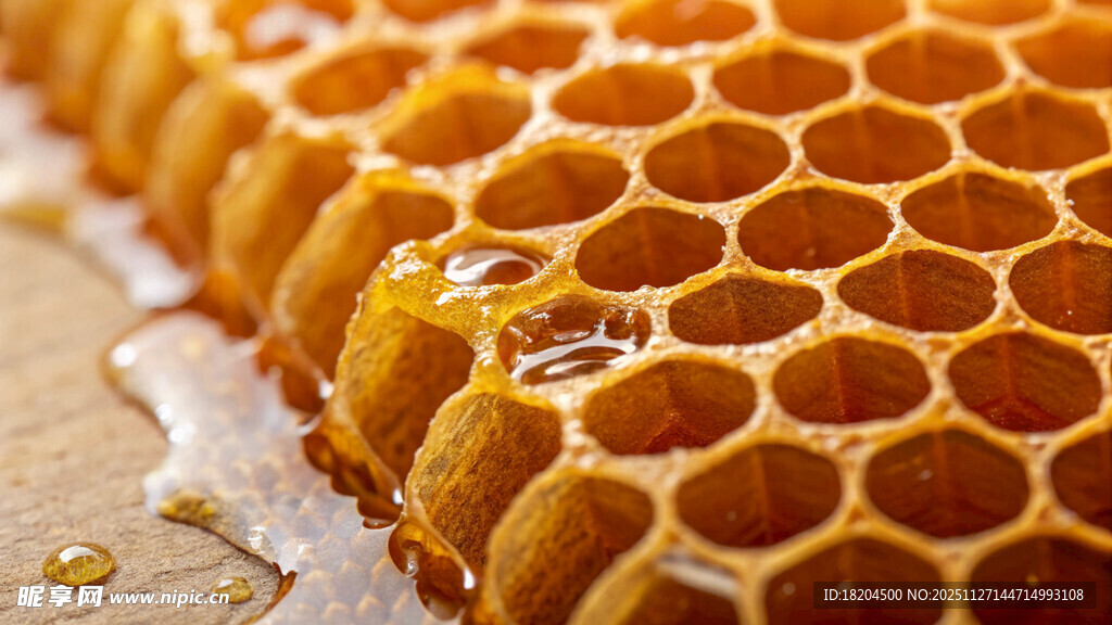 蜂巢特写