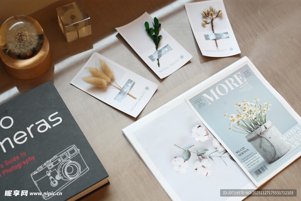 文艺风摄影作品展示