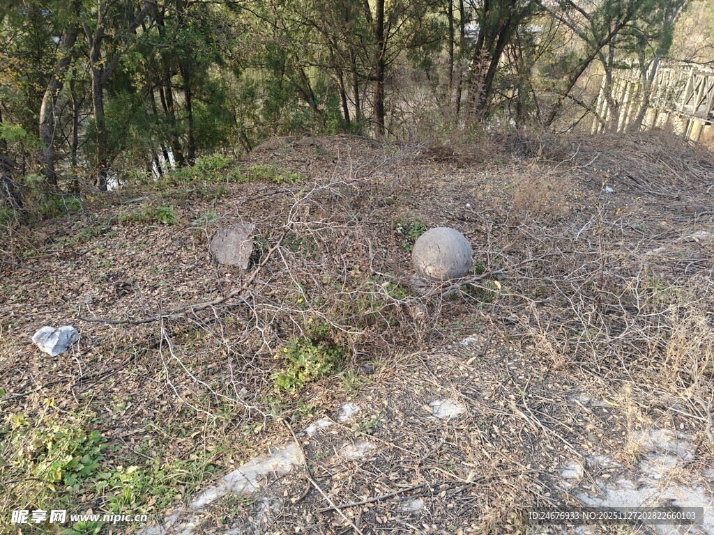 野外林间的散落石球