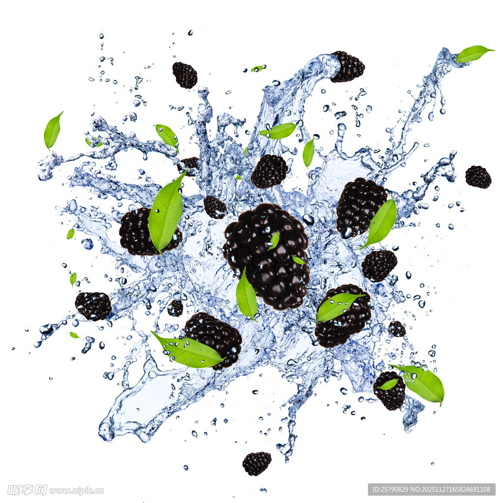 黑莓飞溅绿叶间