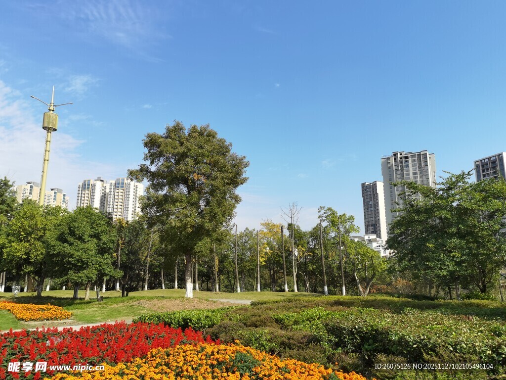 城市中的多彩花园景观