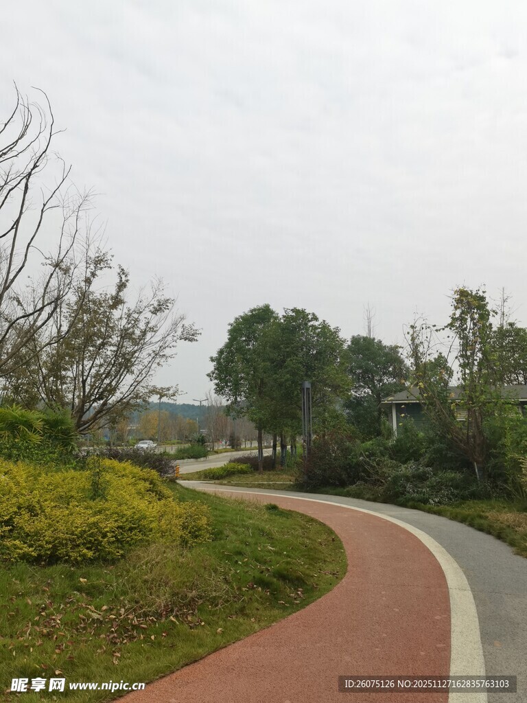 蜿蜒多彩步道自然景致