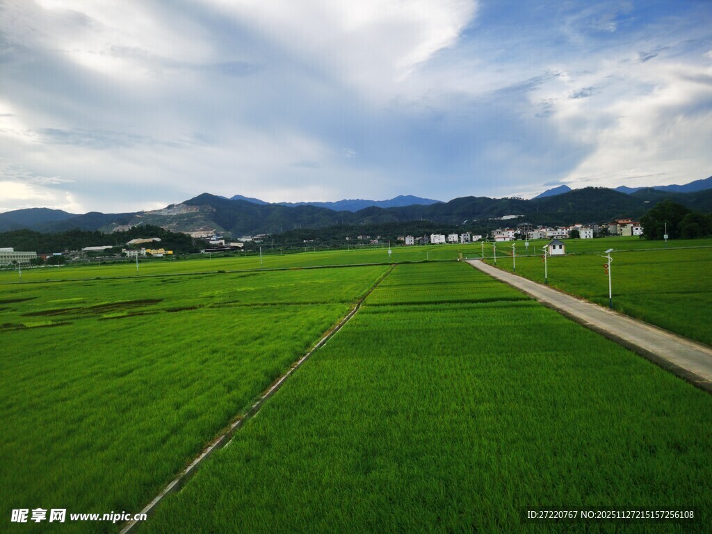 广袤绿野间的乡间小路 万亩农田