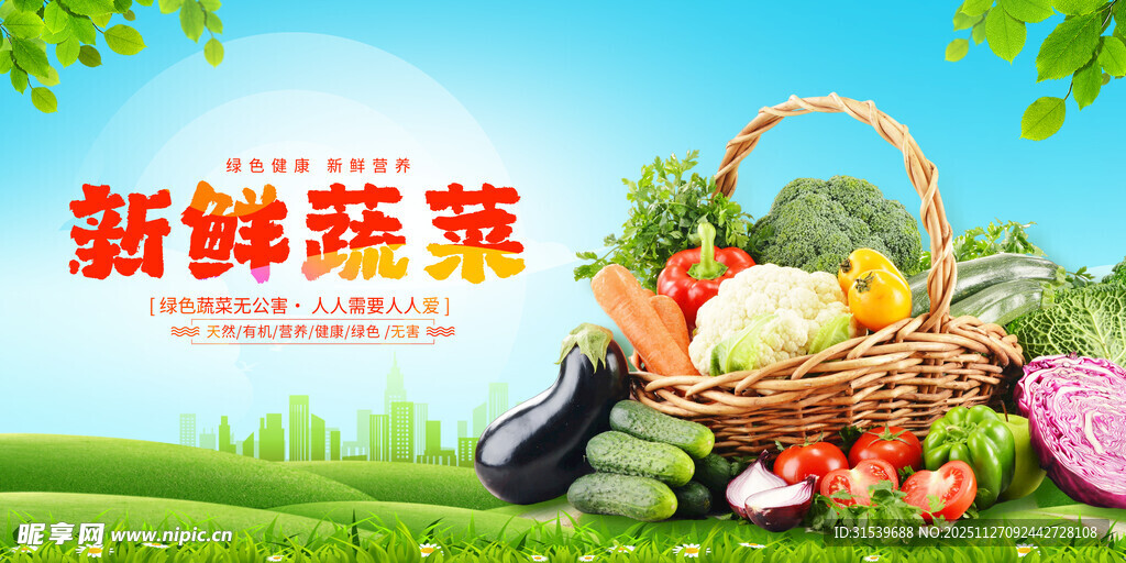 蔬菜海报蔬菜展板