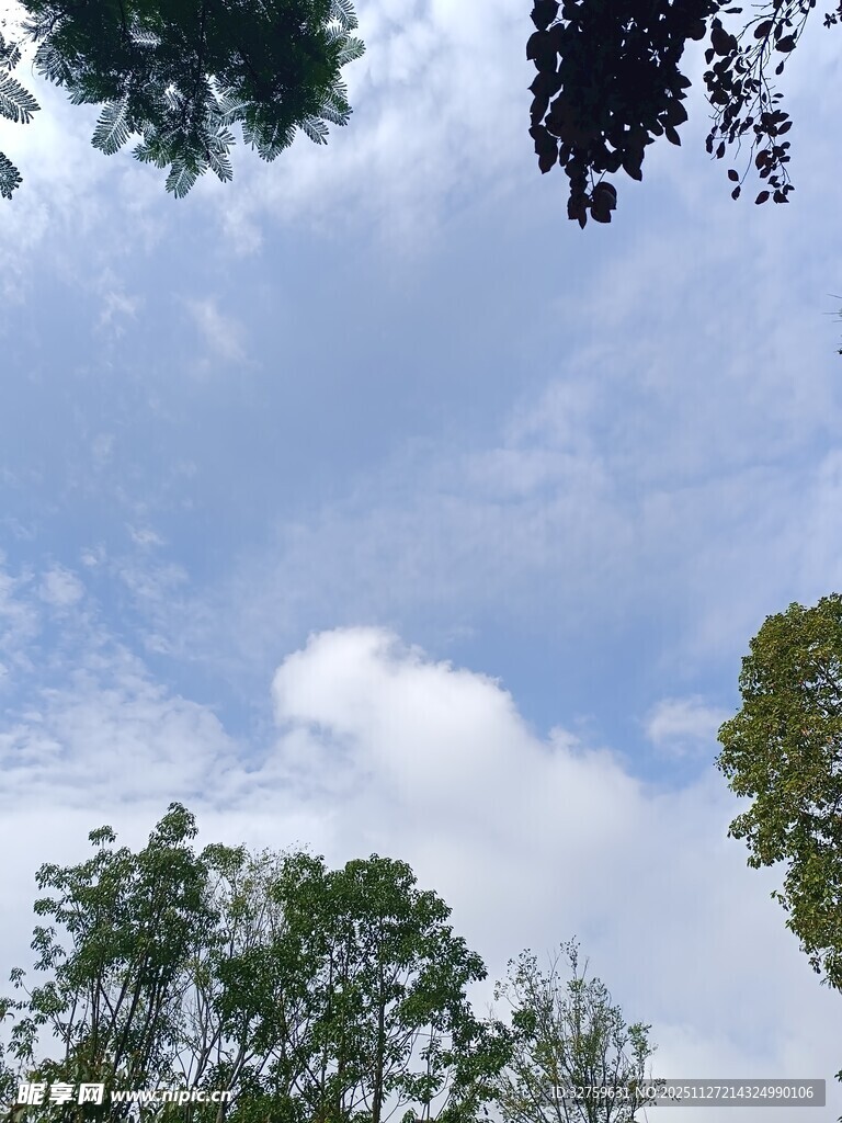 仰望蓝天白云绿树