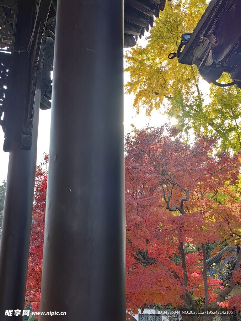 秋日亭下赏斑斓红叶