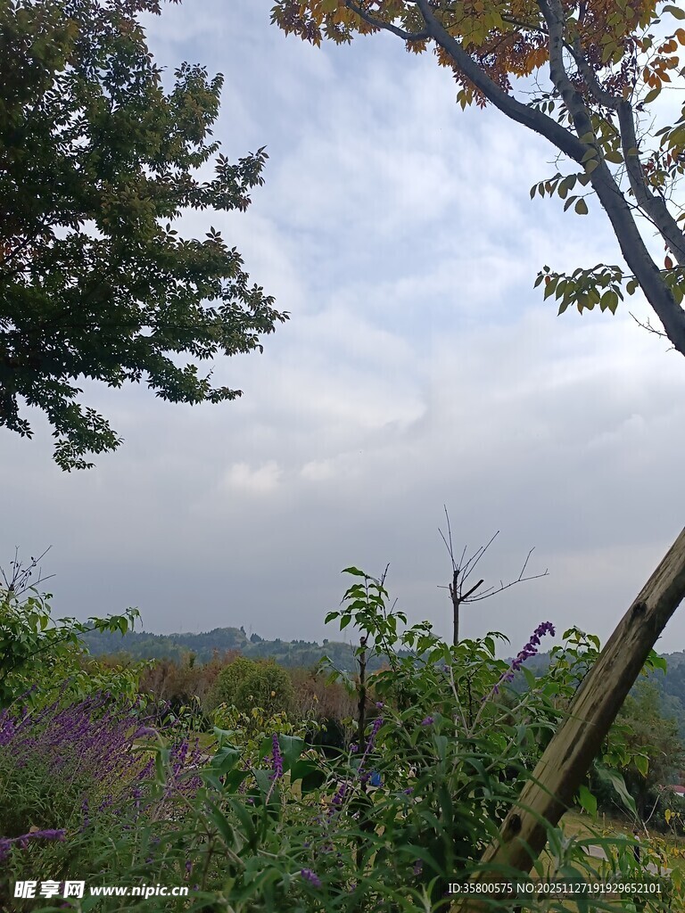 郊外自然风景田园景致