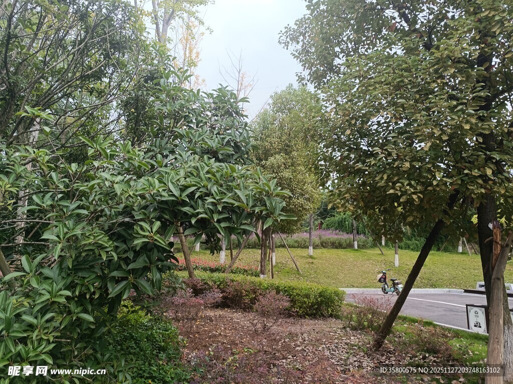 公园绿意盎然的休闲场景