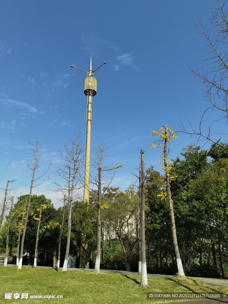 城市绿地中的高耸景观塔