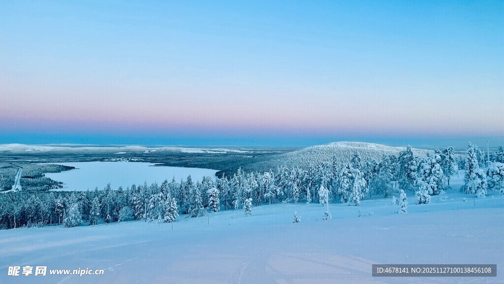 冬日雪景中的静谧森林
