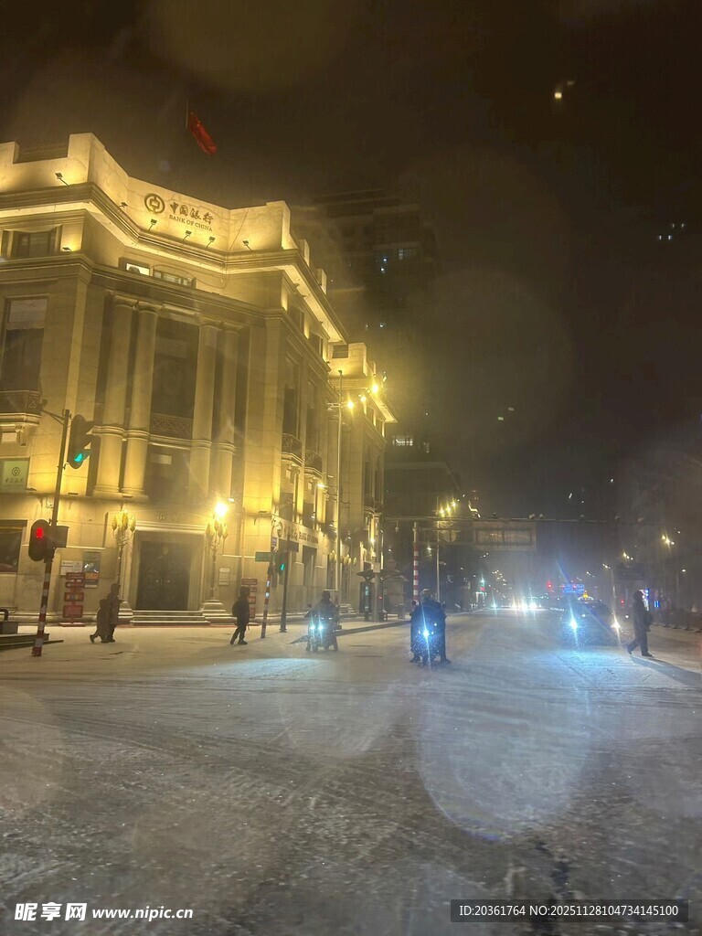 雪夜中的华丽建筑