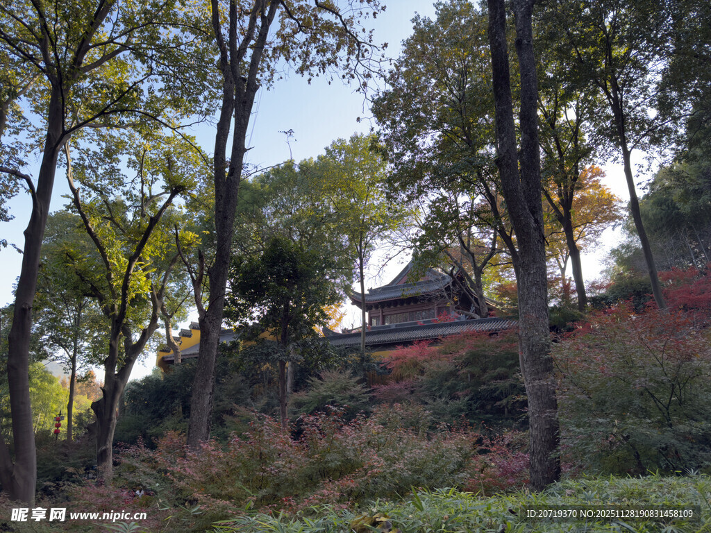 山林中的古朴建筑