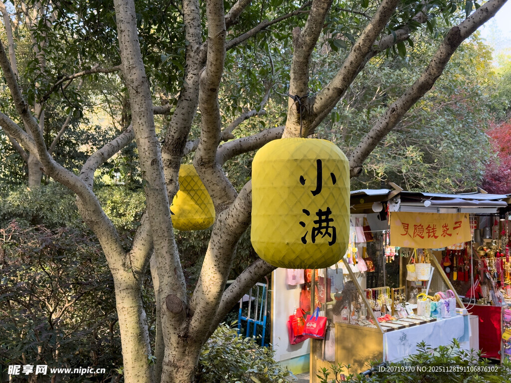 树上悬挂的节气灯笼