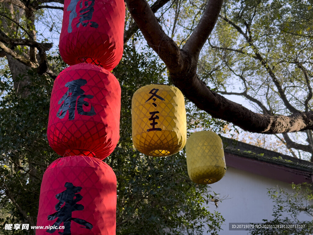 中式挂树灯笼装点美景