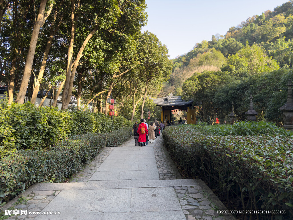 林间小径上的漫步身影