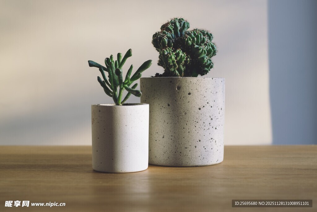 简约风桌面绿植摆件