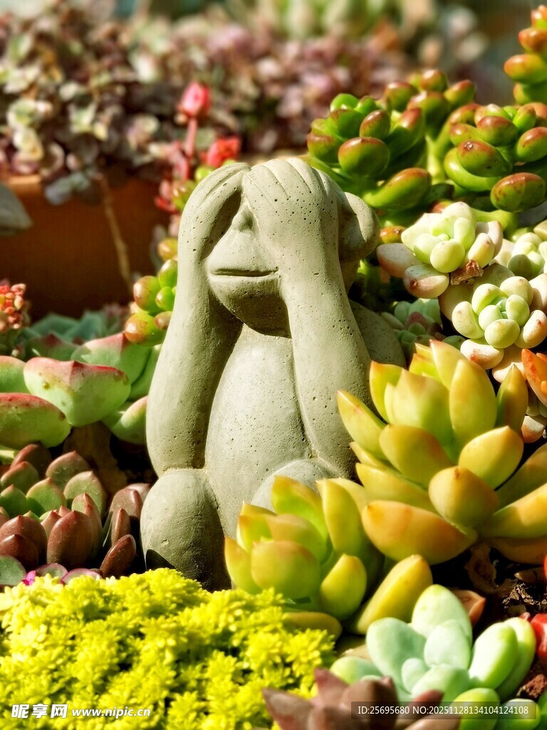 萌趣石猴伴多彩多肉植物