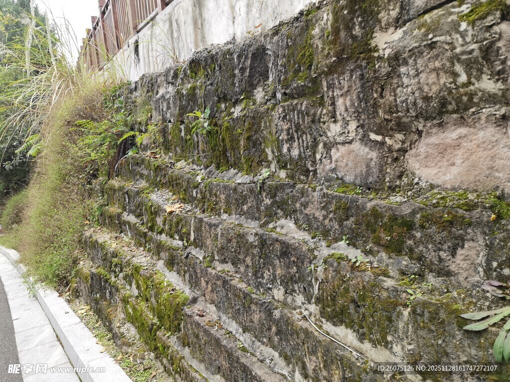 长满绿植的古老石墙
