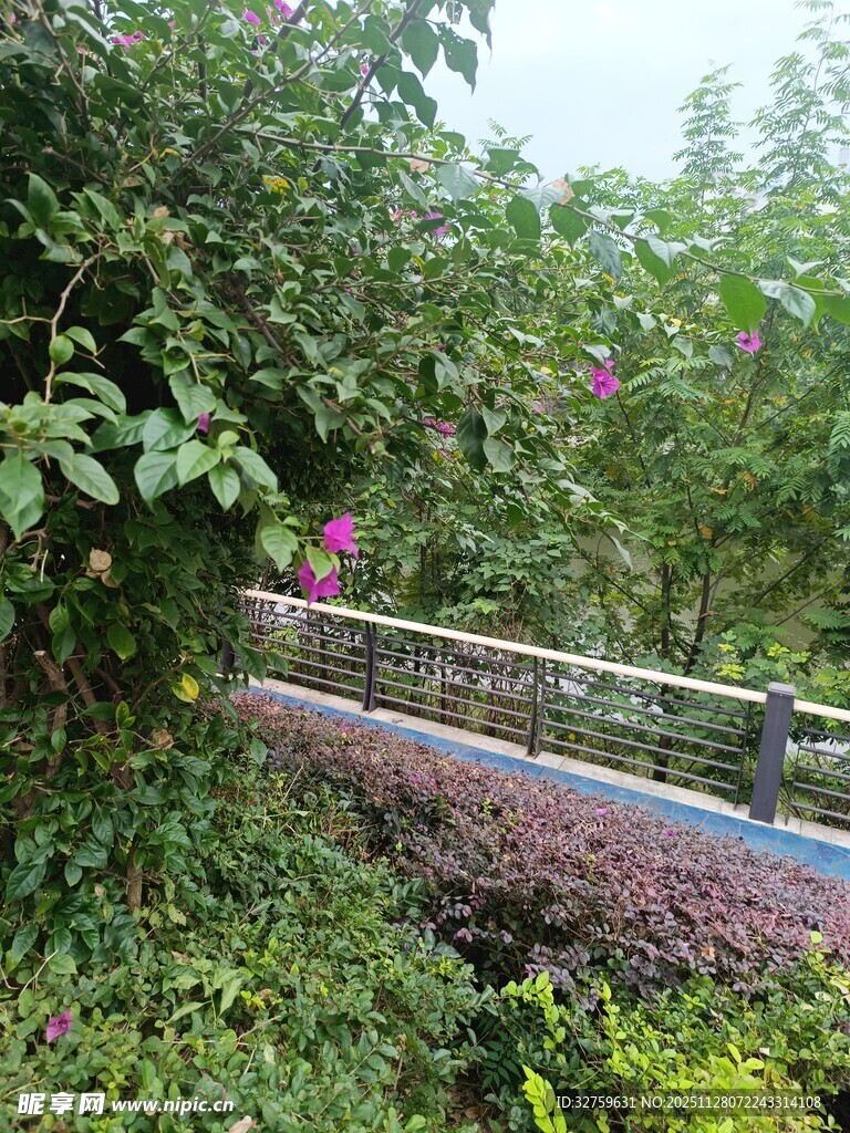 花园中的绿植与围栏景观