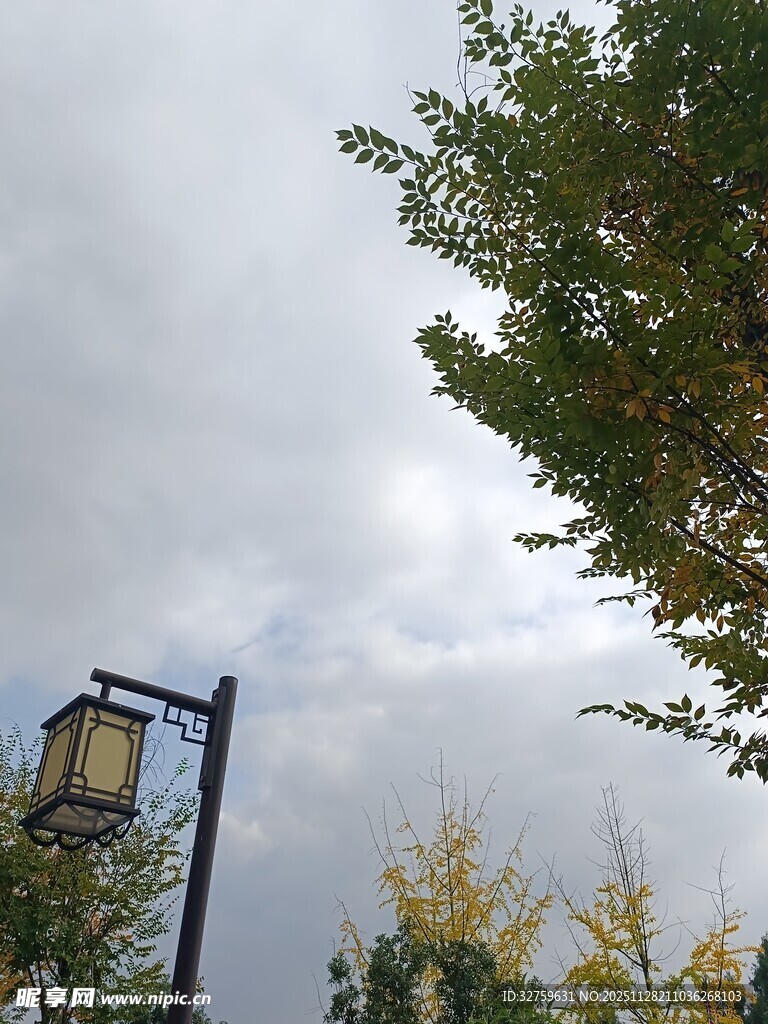 秋日街头路灯与葱郁树木