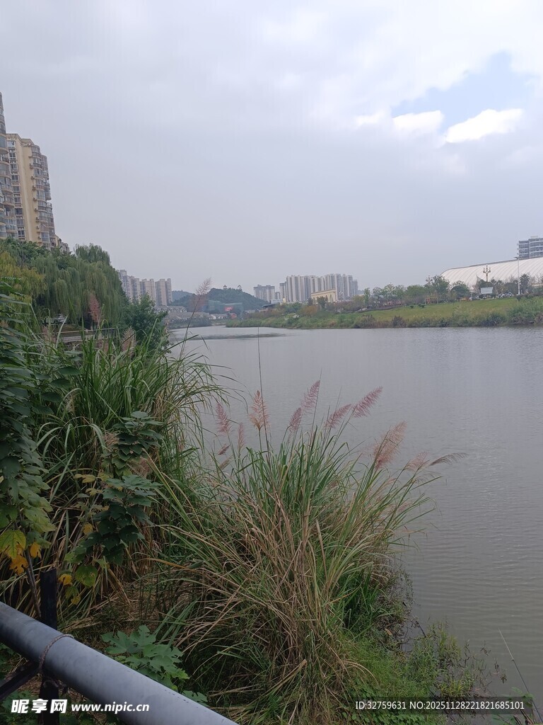 河畔风景